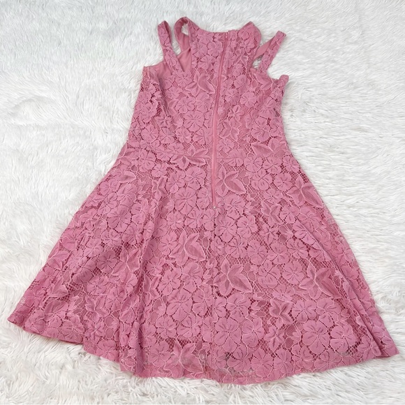 Penelope Tree sleeveless lace fit and flare dress in pink - Picture 7 of 8